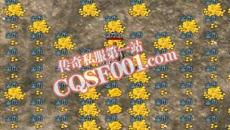新手必知技巧攻略 轻松升级打怪
